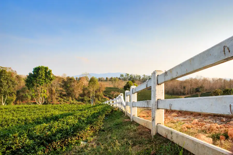 Maintenance Tips for Long-Lasting Farm Fences in Decatur, AL